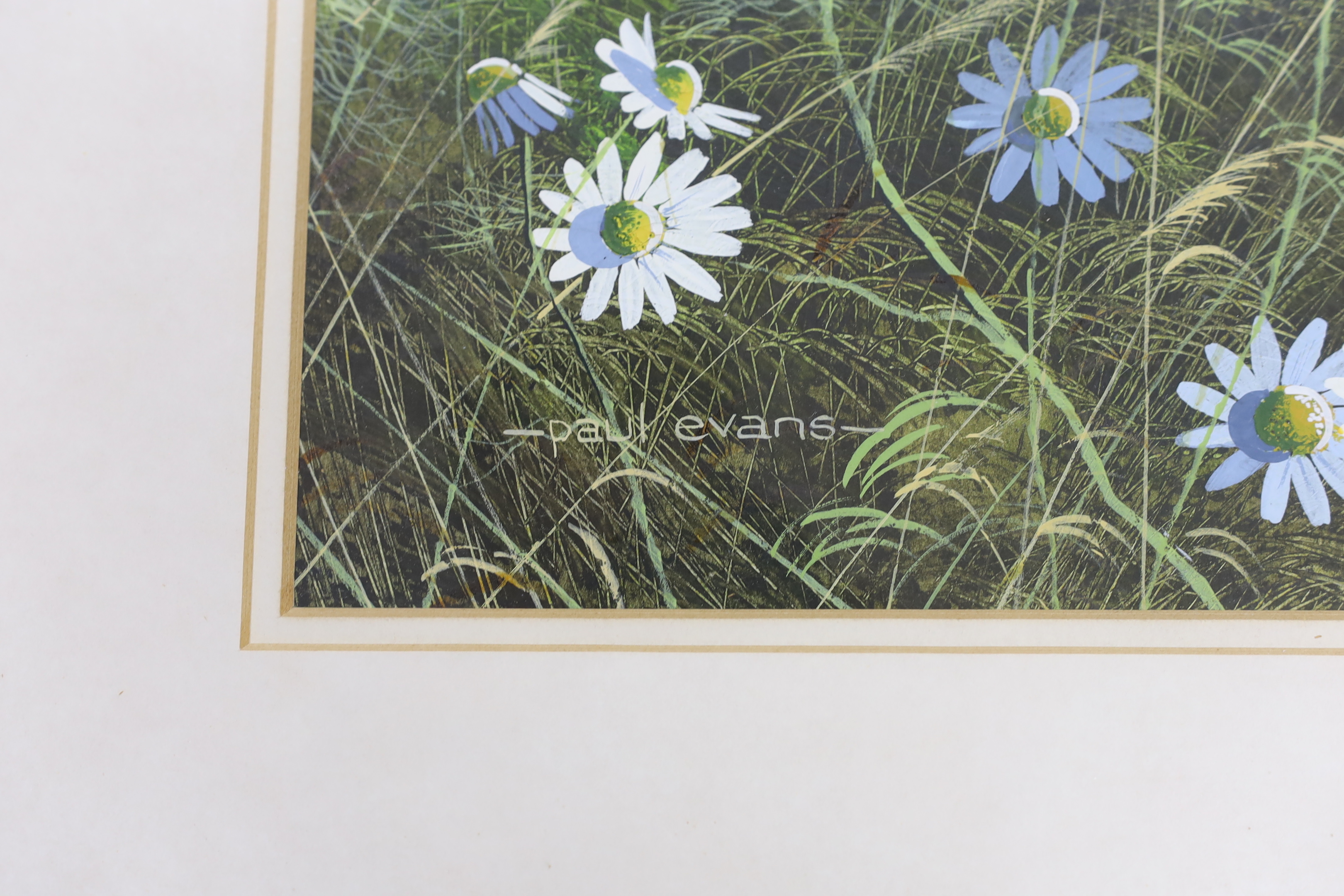 Paul Evans (b.1954), gouache, Daisies before barns, signed, 34 x 48cm